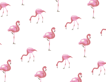 Kyte Baby Bummies: Animals (Birds)